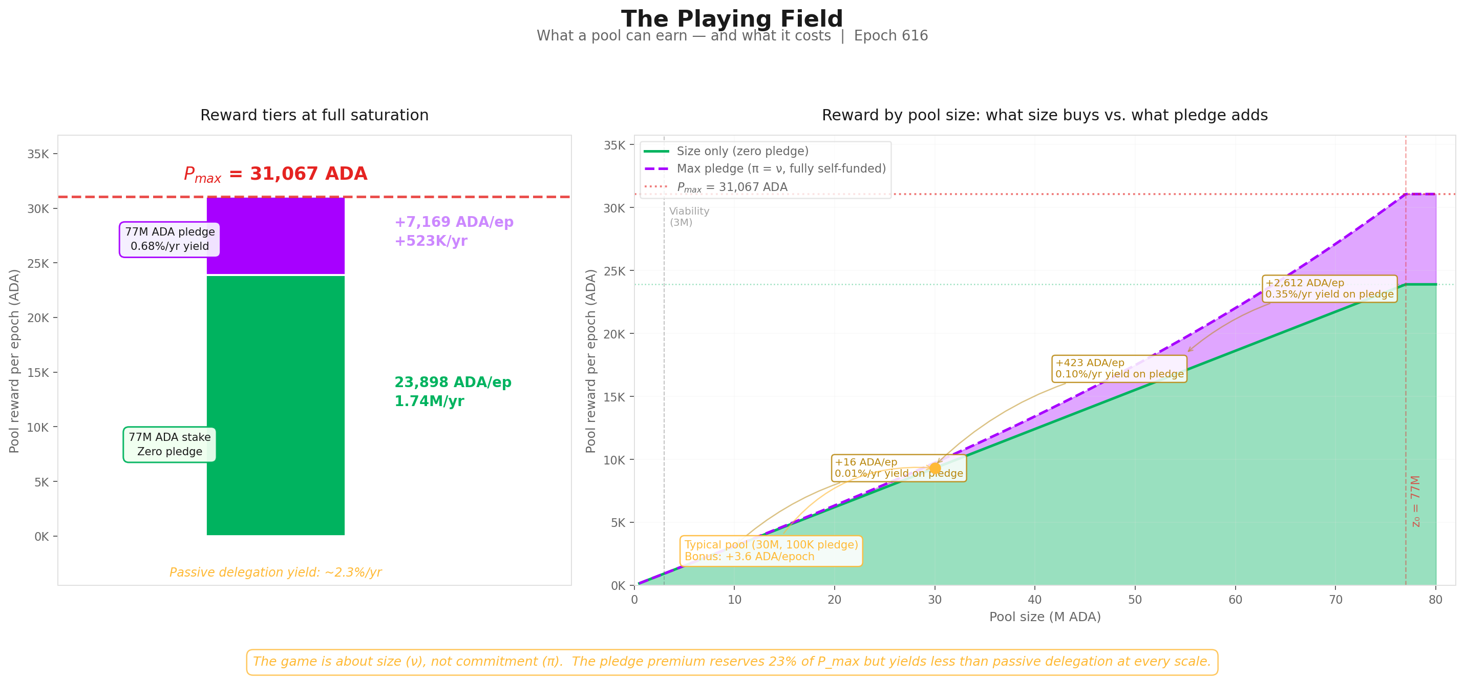 The Playing Field
